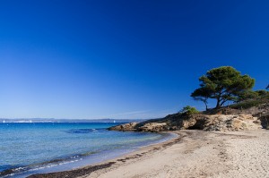 ile-de-porquerolles4