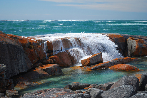 tasmania5