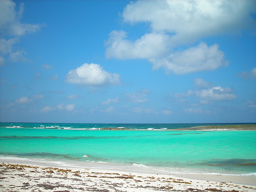 bahamas-abaco1