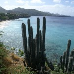 Curacao by olliespek