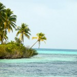 Laccadive