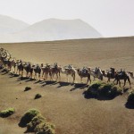 Lanzarote2