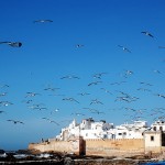 Essaouira, città del vento e del Gnaoua