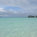 Andros (Bahamas) paradiso per sub e pescatori