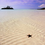 Bahamas: le spiagge rosa di Eleuthera e Harbour Island